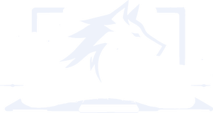 Alpha Notebooks